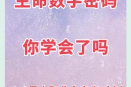 数字背后的命运象征：探寻生活中的数秘密码