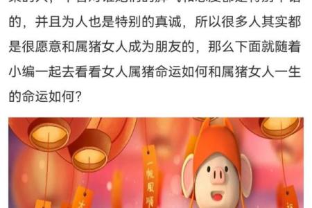 在猴林中玩乐,属猪人的命运揭秘!