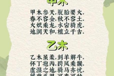 土命与木命的和谐共处:揭秘命理中的最佳搭配