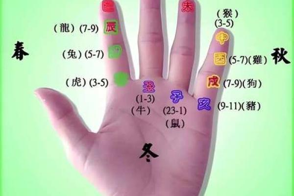 探索五行之中您的命格：手相与命运的奥秘