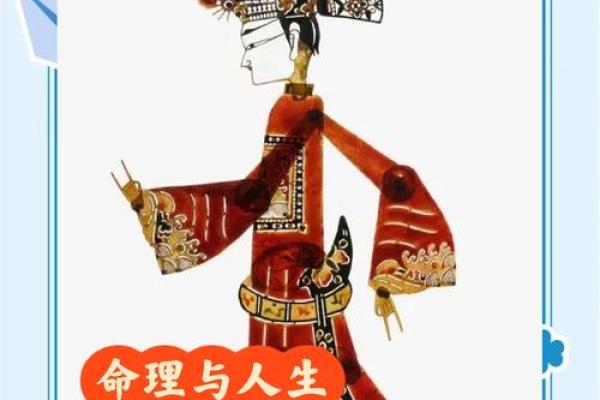 土猪木命：六合相生中的命理探究与人生指南