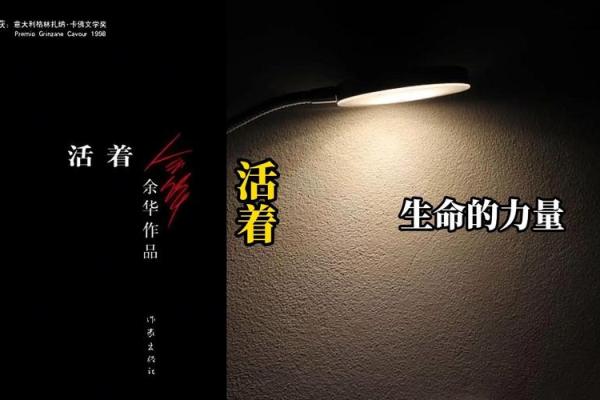 与命搏斗：在音乐中找到生命的力量与希望