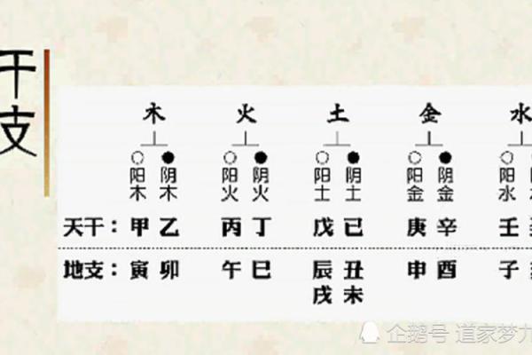 五行分析：水木相生，揭示命运奥秘的深邃哲学