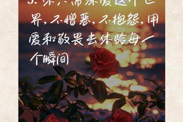 一生富足受贵之命，揭示命运背后的秘密与人生哲学