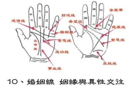 探秘手纹线三条命运:揭示你内心的秘密与人生走向