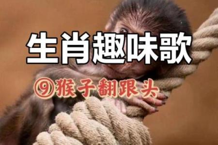 冤家路窄,生肖与命运交错的奇妙关系