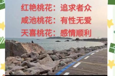 桃花命解析：人生桃花运的奥秘与追寻