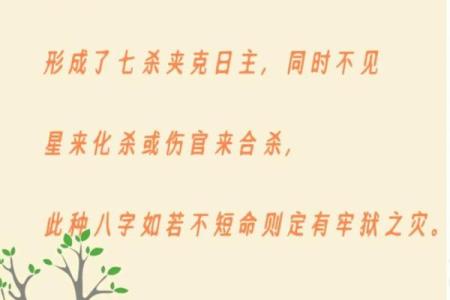探索八字命理:哪些女性八字最具福气与幸运?