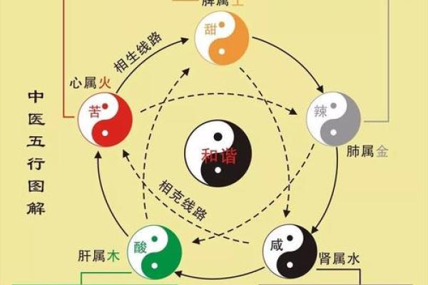 五行与中医：解密其中之道与命理关联
