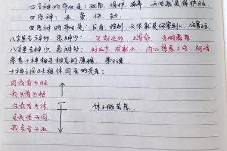 算命的奥秘：揭示命运与人生的深刻联系