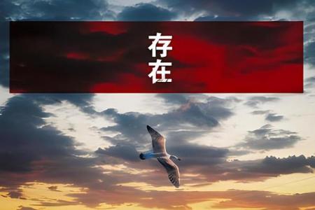 一条命只值30万：生命背后的价值与思考