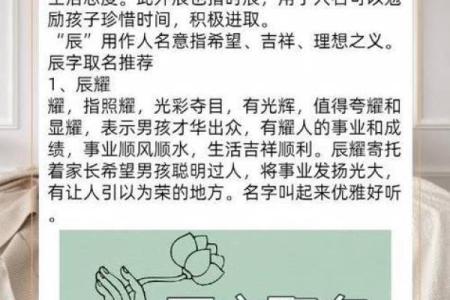 戊辰日男命如何取名：探寻姓名背后的深意与力量