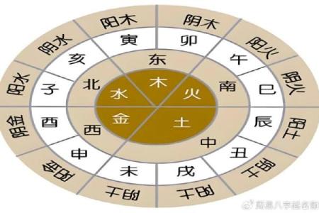 探寻木命中的智慧:如何寻找命格的最佳组合