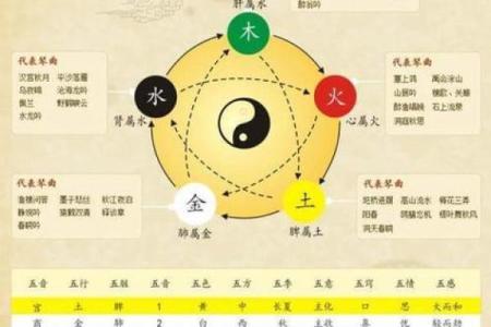 五行与中医：解密其中之道与命理关联