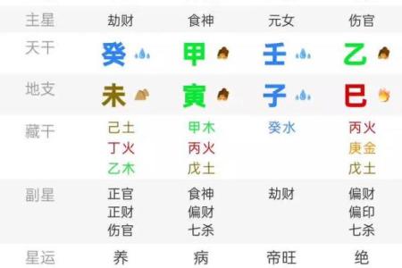 探秘女命时柱乙木巳火:命理中的奇妙结合与人生启示