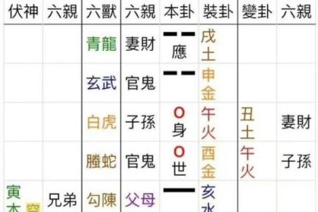 巽命与坤命的深刻解析:命理中的阴阳之道与人生指导