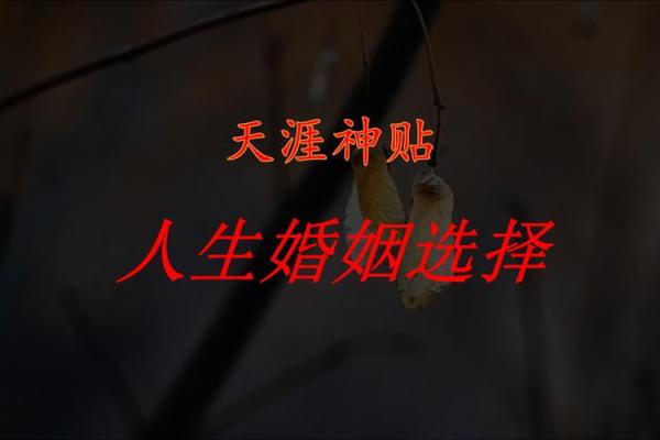 探寻幸福姻缘：如何识别适合自己的伴侣