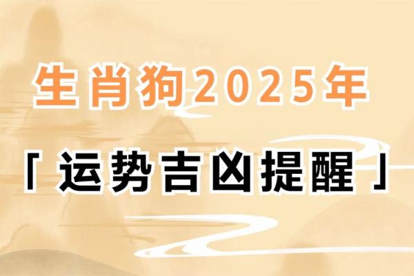 五十二属狗的命运解析：不同年份狗的特点与命理