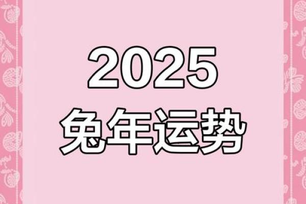兔年十月出生的人命运分析：你是哪个命？一探究竟！