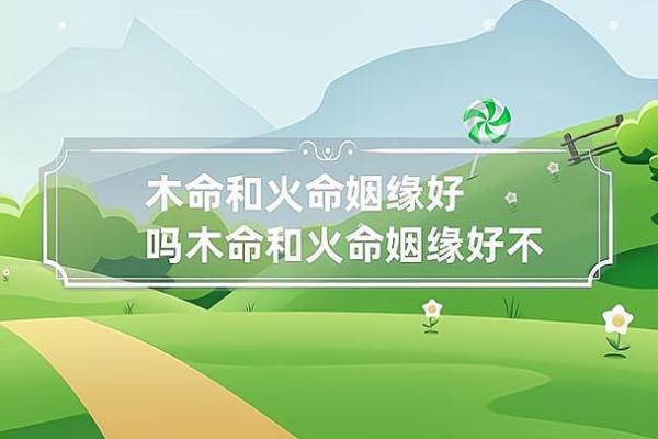 探究命格与木命之间的奇妙联系，解密为何木命的人格魅力无穷无尽！
