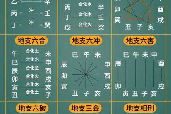 土命与金命：解析生肖与五行的神秘关联
