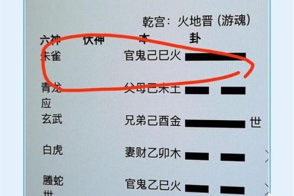 探索命理学的奥秘：五行与人生的关系