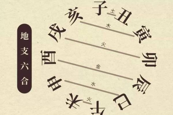 探索石榴木木命与相生命理的完美结合