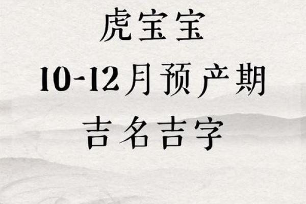阴历6月出生虎宝宝的命运与性格剖析