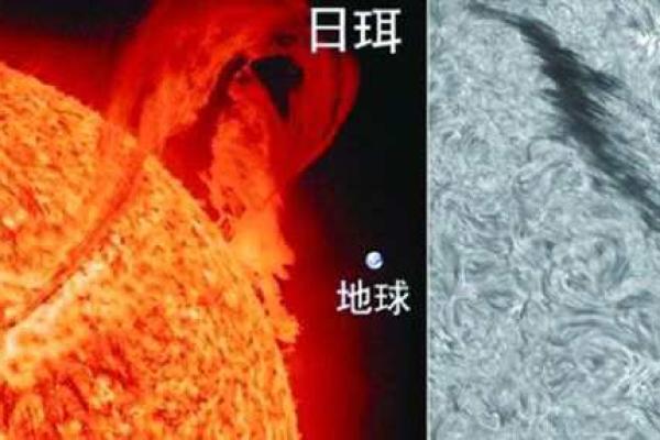 戊辰日柱女命解析：揭示独特命格与人生轨迹的奥秘