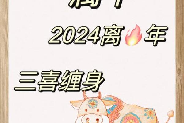 五十岁属牛人的命运解析：从五行看人生辉煌