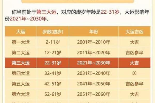 算命鸽子命：轻松解读命运的奇妙之旅