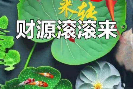 五行木命之鱼：适合养殖的水中良伴