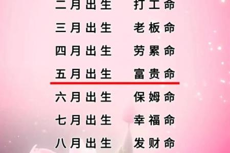 一两八钱是什么命？深入解读命运与财富的神秘联系