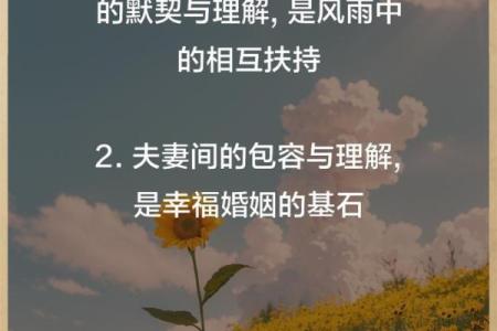 相依为命：生活中最深厚的情感纽带与人性美好展现