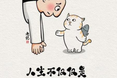 为什么有钱人总能把握命运,而我们却似乎总在追赶?