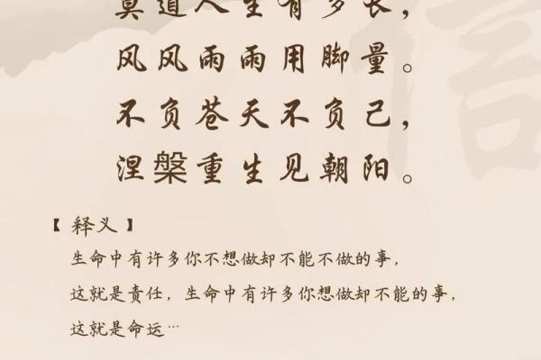 无命消受：探寻命运与自由的深刻意义