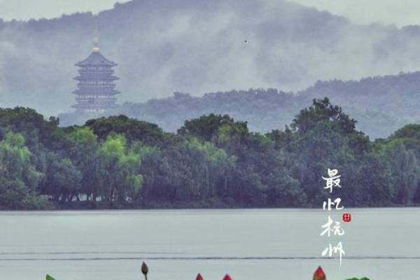探秘荷叶命：命运与生命的深层寓意