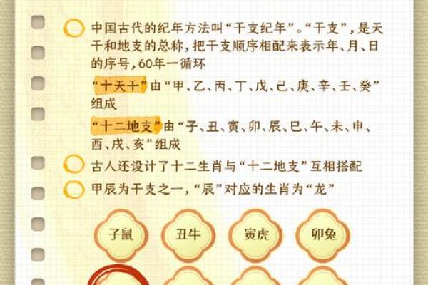 探秘壬辰龙年出生的人命运与性格特征