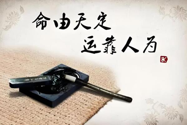 五岁定命：人生早期的命运轨迹探秘