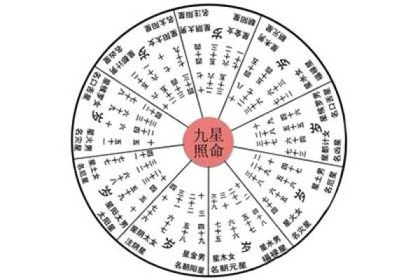 探索太阳星照命：了解你的命运与个性