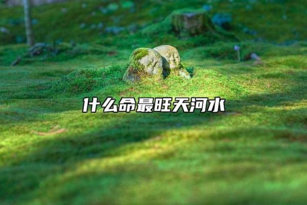 天河水命与风火命的合用之道——生活中的和谐与平衡