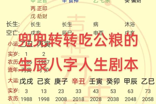 探寻命理：解析日主为土喜火的命局奥秘与人生指导
