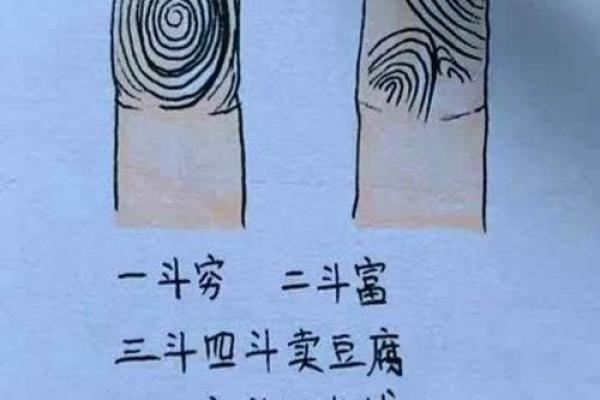五斗五簸箕命：命运与性格的深刻解析