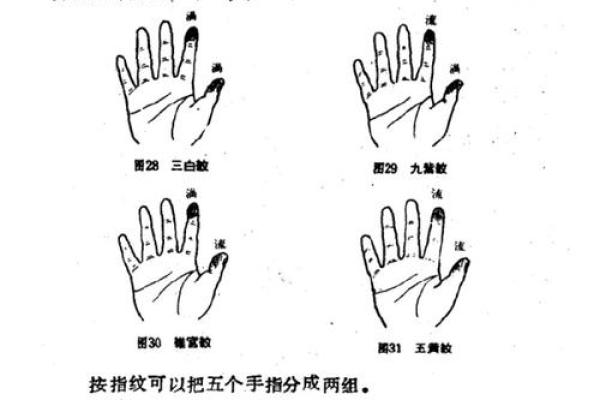 五斗五簸箕命：命运与性格的深刻解析
