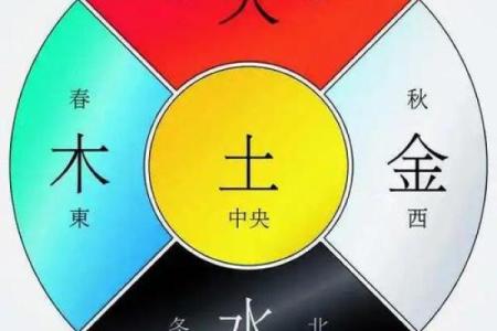 土命缺木:如何理解土命与五行的奇妙关系