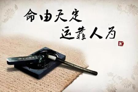 五岁定命：人生早期的命运轨迹探秘