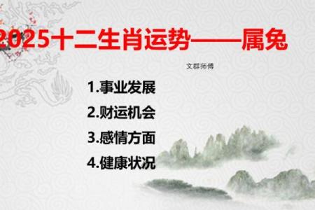 兔年的命运解析：1999年出生的你，将迎来怎样的人生旅程？