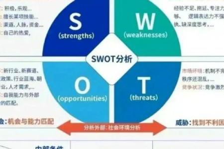 水命人为何在商务领域中占据优势？探索其潜在能力与机会