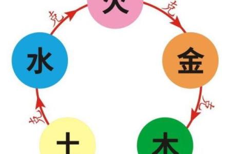 水命与木命：如何选择最合适的颜色搭配人生与风水