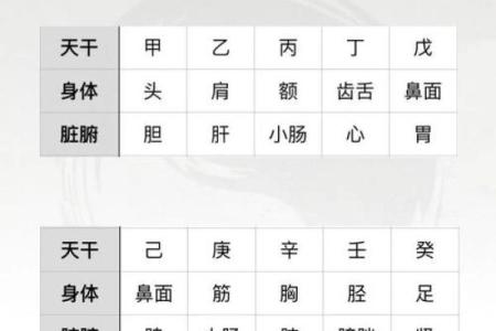 探秘五行平衡:揭示八字女命的神秘力量